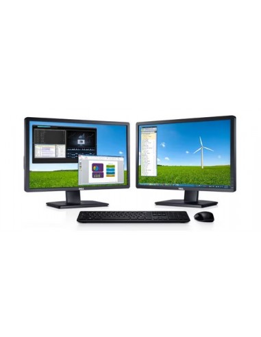 Monitor Dell P2412H 24''